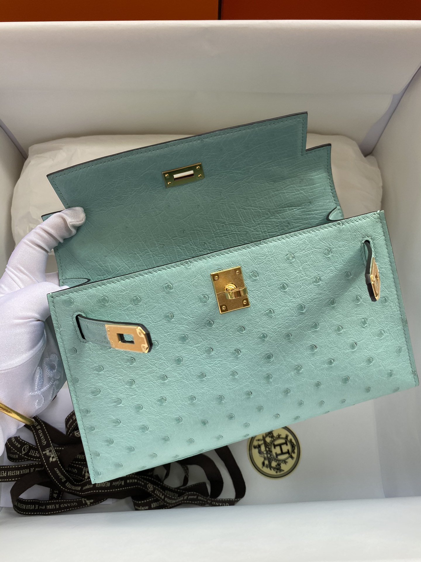 Hermes Mini Kelly Pochette 22cm Bag In Blue Atoll Ostrich Leather